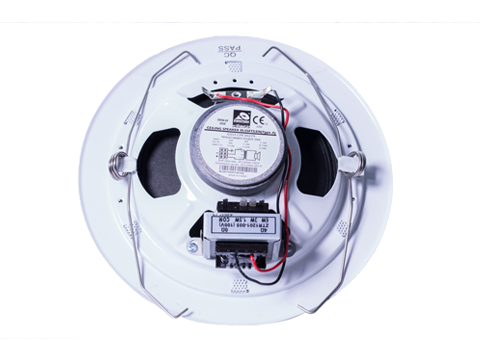 rls5tfs_back
