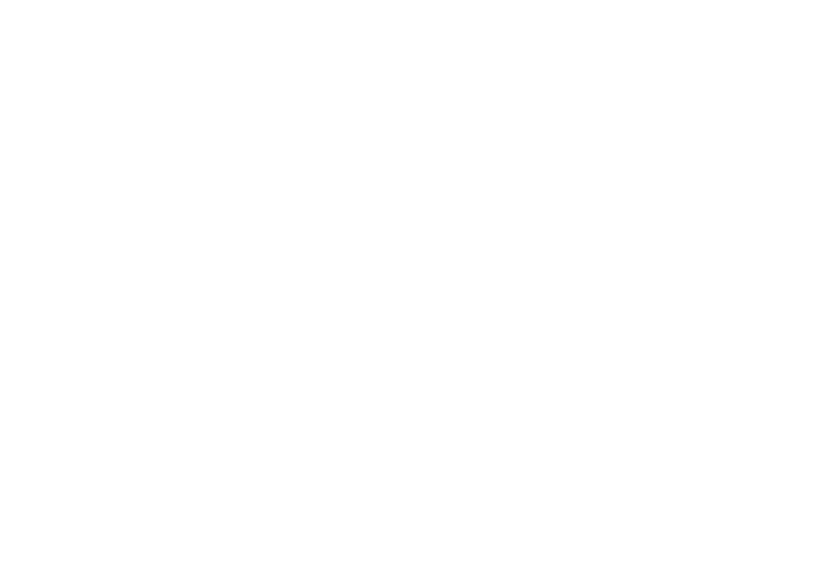 trans peitel